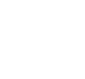 White shopping cart icon